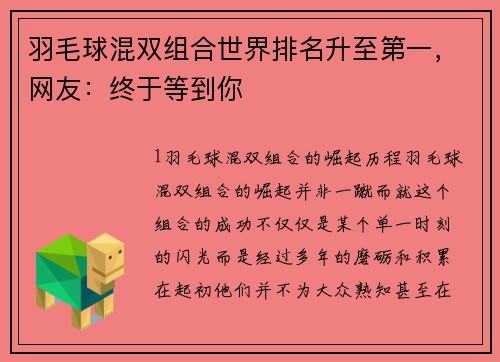 羽毛球混双组合世界排名升至第一，网友：终于等到你